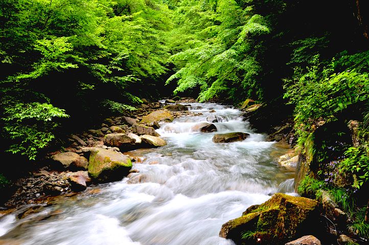 ruisseau